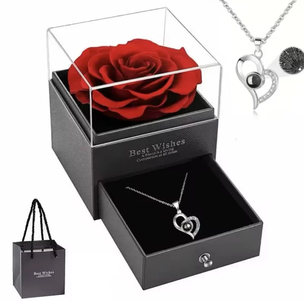 Preserved Rose with necklace